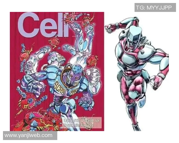 足球明星与烟草的奇妙结合引发的文化现象探讨