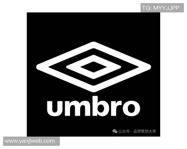 全球知名体育品牌标志大盘点揭示品牌背后的故事与文化